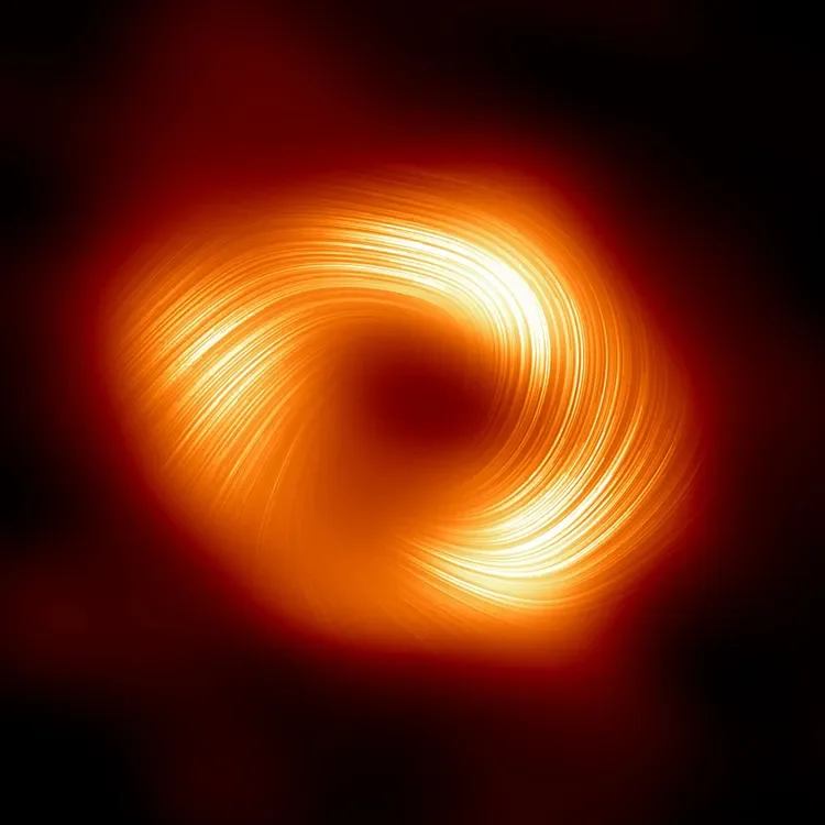 blackhole neutron star