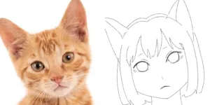 japanese anime cat theory